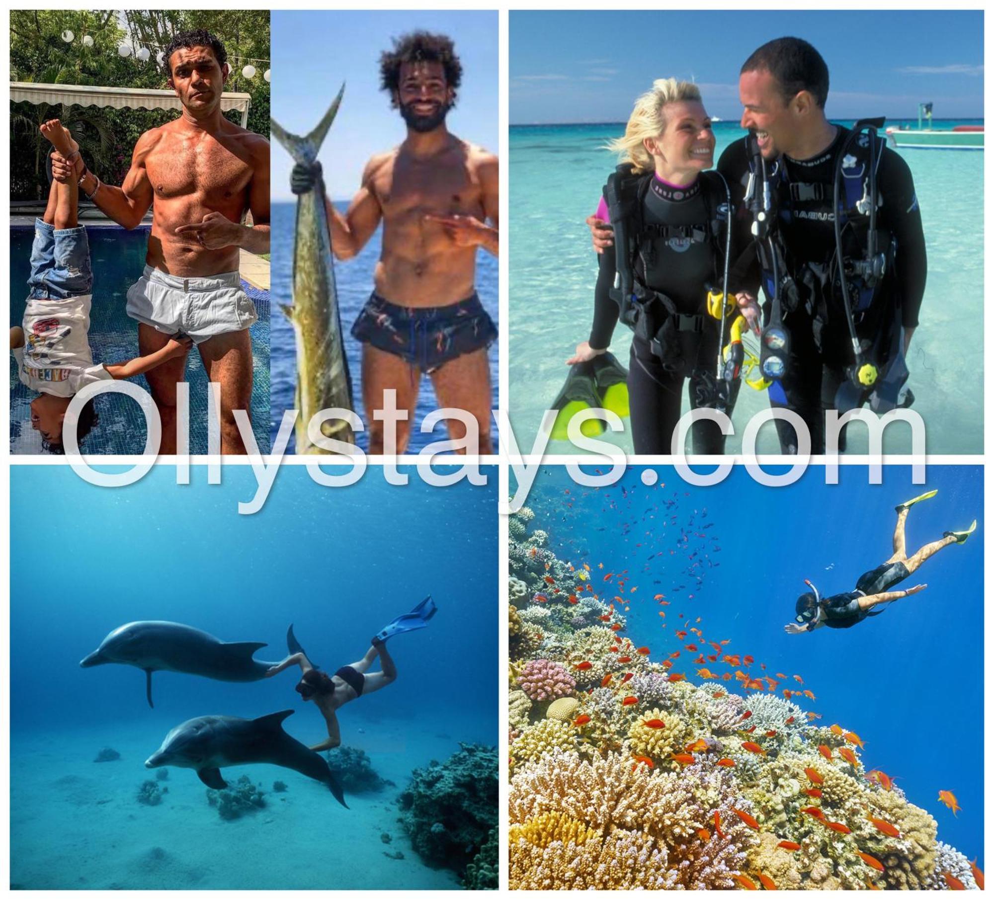 Ollystays Mangroovy Seaview 1Br Beach And Pool Free Access Хургада Екстер'єр фото