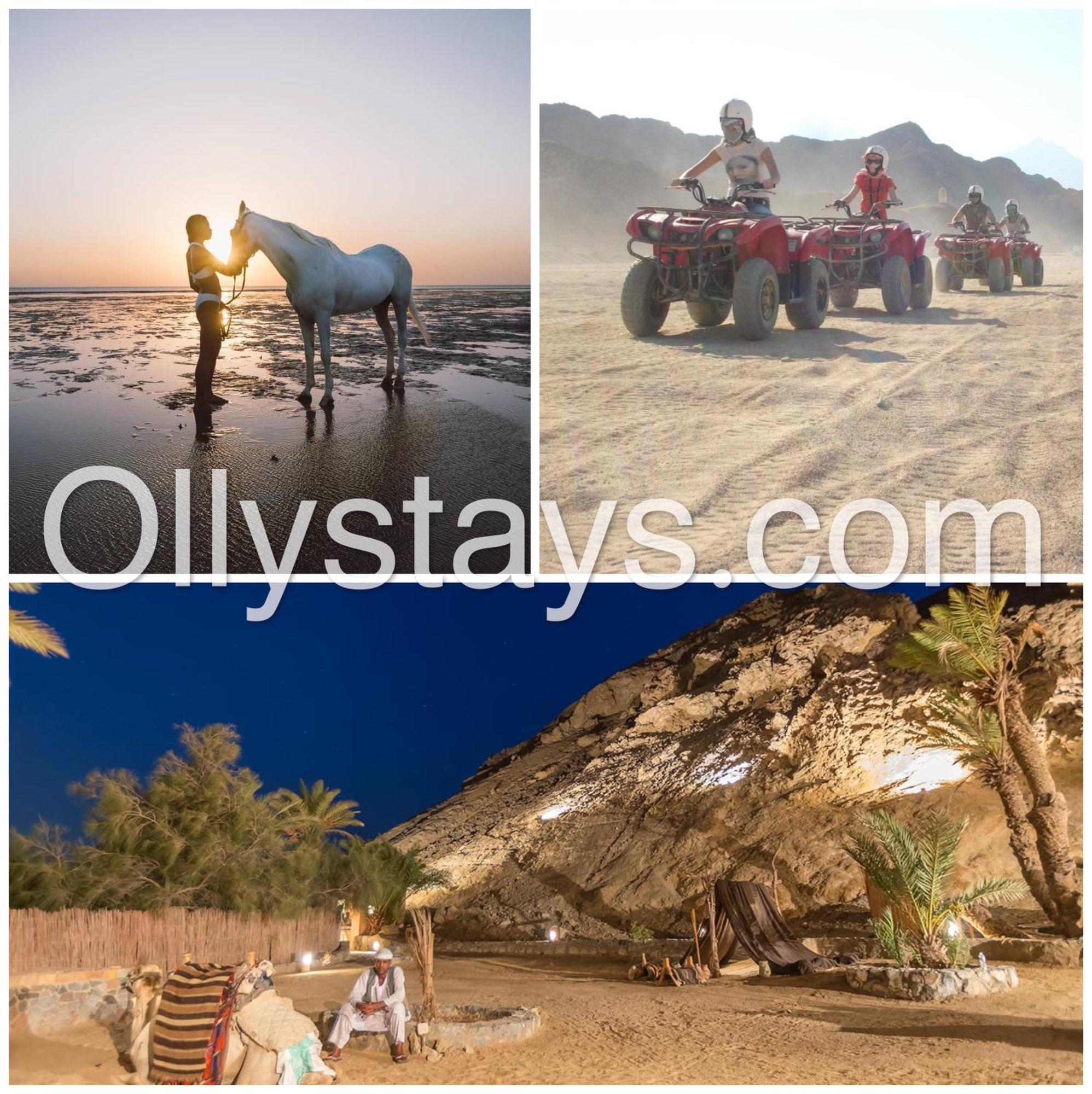 Ollystays Mangroovy Seaview 1Br Beach And Pool Free Access Хургада Екстер'єр фото